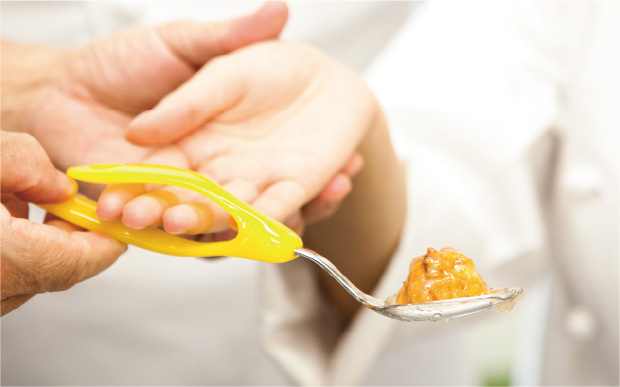 選べる専攻画像